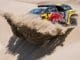 Dakar 2019 Etape 6 : Loeb encore